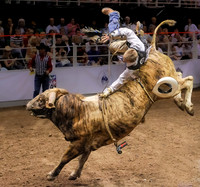 Rodeo