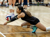 Volleyball (girls)